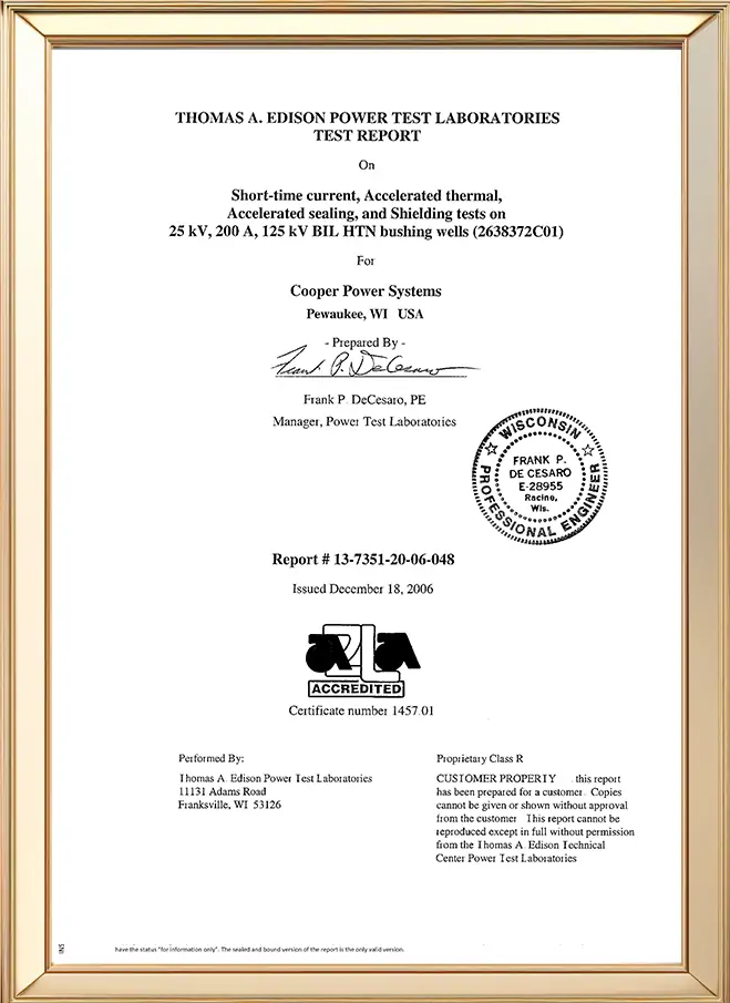 International certification 4