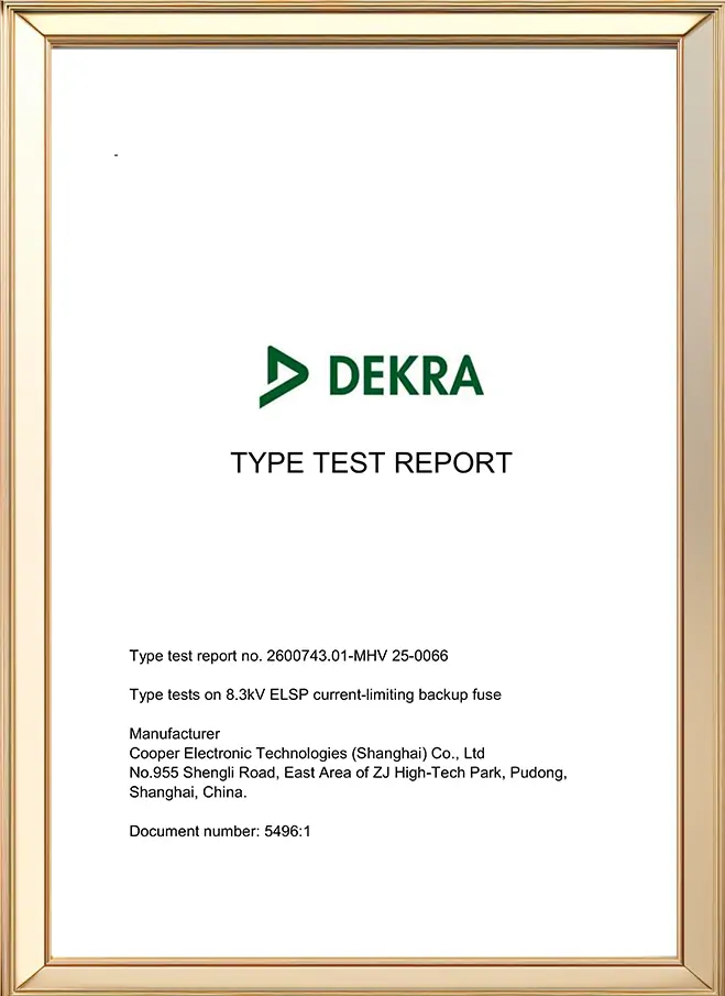 International certification 9